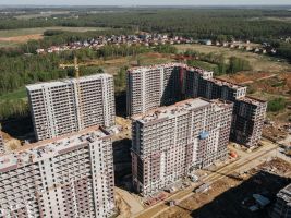 Монолитные работы, возведение стен